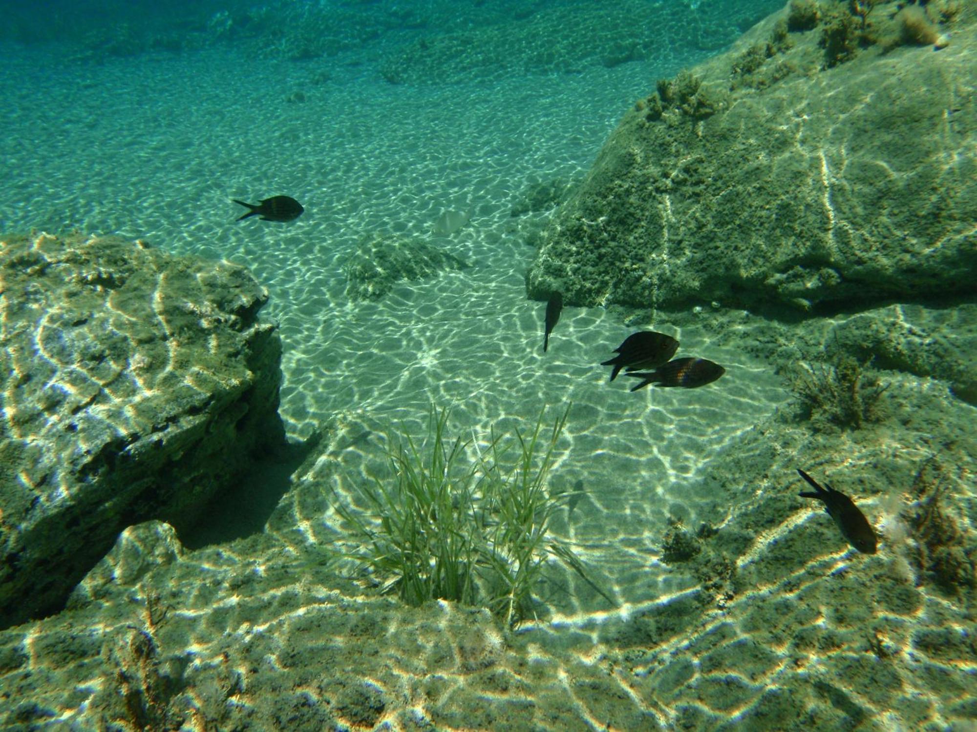 Schoinoussa Filoxenia By Grispos Villas מראה חיצוני תמונה